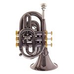 Carol Brass CPT-3000-GLS-Bb-BG Blackhawk