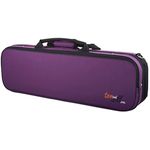 Tom & Will Classic Violin 4/4 Gig Case DP