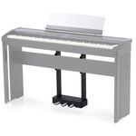 Kawai F-301 B