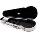 bam ET2200XLGR Viola Case