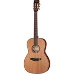 Takamine P3NY