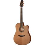 Takamine P3DC