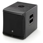 Mackie DLM12s