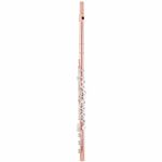 Thomann FL-C600 REH Flute
