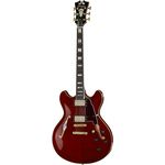 DAngelico EX-DC CH B-Stock