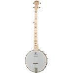 Deering Goodtime A/E 5 str.Banjo