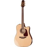 Takamine P5DC