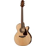 Takamine P5NC