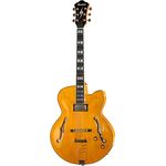 Ibanez PM2-AA