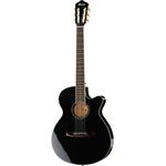 Ibanez AEG10NII-BK