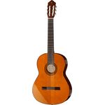 Yamaha CGX 102