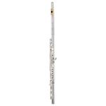 Pearl Flutes Dolce 695 RBE - Vigore