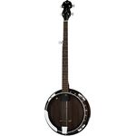 Dean Guitars Backwoods 2 Electric 5-String