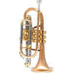 Carol Brass CCR-6882T-GSS-SLB