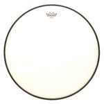 Remo 11" Renaissance High Collar