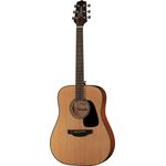 Takamine GD10-NS
