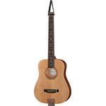 Traveler Guitars AG105 EQ