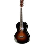 Ibanez AVN1-BS