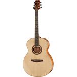 PRS Tonare Grand Standard Piezo