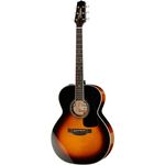 Takamine P6N-BSB