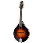 The Loar LM-400-VS