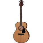 Takamine GN10-NA