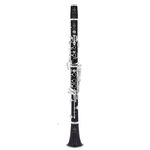 Buffet Crampon BC1114L-2-0 RC Bb-Clarinet 18