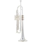 Carol Brass CTR-8880H-GST-Bb-S