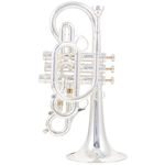 Carol Brass CCR-7770R-RSS-C-S
