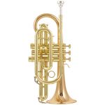 Carol Brass CCR-3880-GSS-Bb-L