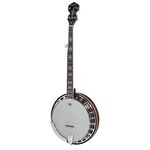 Harley Benton BJ-55Pro 5 String Banjo
