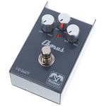 Palmer MI Pocket Chorus