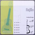 Antonio Pinto Carvalho Rajao Strings