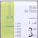 Antonio Pinto Carvalho Viola da Terra Strings
