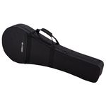 Antonio Pinto Carvalho Irish Bouzouki Case