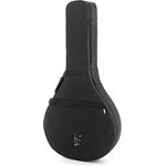Antonio Pinto Carvalho Mandoloncello Case