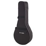 Thomann Mandola Case