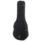 Antonio Pinto Carvalho Viola Terra 18-string Case