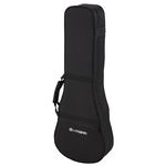Antonio Pinto Carvalho Guitarlele Case