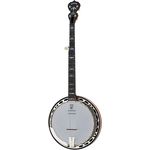 Deering Sierra 5-String A/E