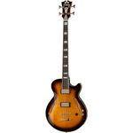 DAngelico EX-Bass VS B-Stock