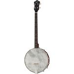 Recording King Dirty 30's Tenor Banjo