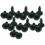 Adam Hall 5544 BLK Screw Pack