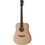 VGS RT-10 Root NS