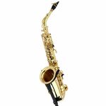 SeleS by Selmer Axos Alto Saxophone
