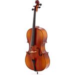 Gewa Celloset Europa 4/4