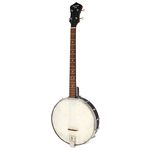 Recording King RKT-05 Dirty 30s Tenor Banjo