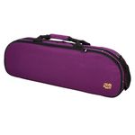 Tom & Will 44VL44 Oval Violin Case PU