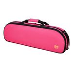 Tom & Will 44VL44 Oval Violin Case HP