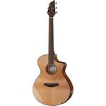 Breedlove Discovery Concert CE